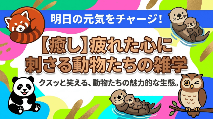 癒やし雑学